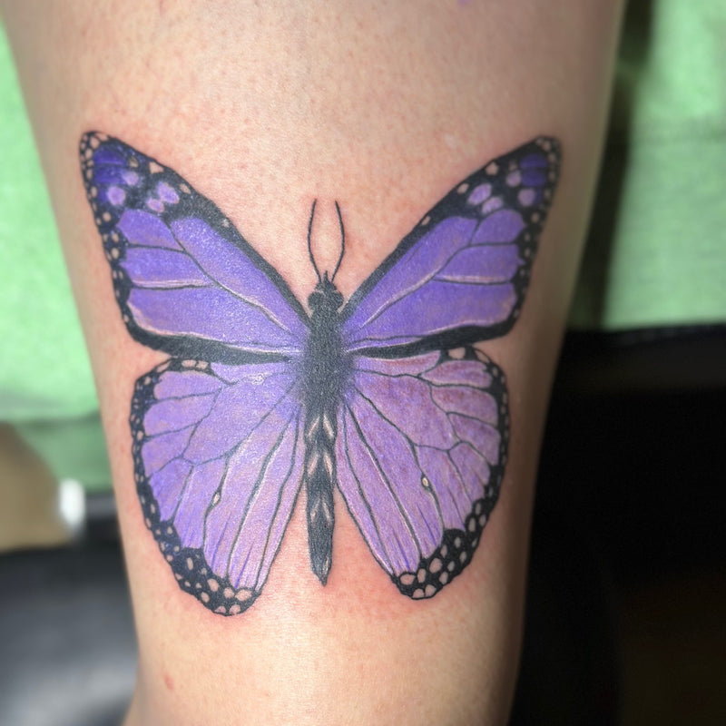 Purple Butterfly